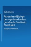 Anatomie und Biologie der augenlosen Landlungenschnecke Caecilioides acicula Müll