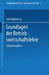 Grundlagen der Betriebswirtschaftslehre