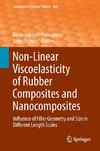 Non-Linear Viscoelasticity of Rubber Composites and Nanocomposites