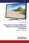 Overview of Lignocellulosic Wastes for Production of Hydrogels