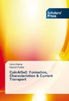 CuInAlSe2: Formation, Characteriztion & Current Transport