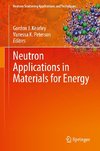 Neutron Applications in Materials for Energy