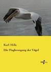 Die Flugbewegung der Vögel