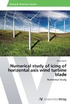 Numerical study of icing of horizontal axis wind turbine blade