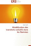 Modélisation des transferts radiatifs dans les flammes