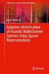 Adaptive Identification of Acoustic Multichannel Systems Using Sparse Representations