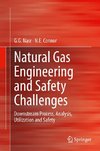 Natural Gas Engineering and Safety Challenges