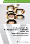 Mechanismen der Hämoxygenase-1 Induktion durch die Docosahexaensäure