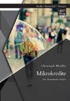 Mikrokredite: Eine ökonomische Analyse