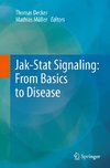 Jak-Stat Signaling : From Basics to Disease