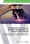 Investigation of S-layer protein cytotoxicity on human cell cultures