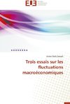 Trois essais sur les fluctuations macroéconomiques