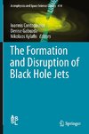 The Formation and Disruption of Black Hole Jets