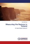 Measuring the Regions in Ireland