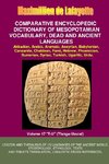 V17.Comparative Encyclopedic Dictionary of Mesopotamian Vocabulary Dead & Ancient Languages