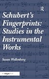 Schubert's Fingerprints