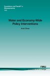 Water and Economy-Wide Policy Interventions