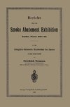 Bericht über die Smoke Abatement Exhibition, London, Winter 1881-82