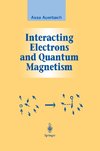 Interacting Electrons and Quantum Magnetism