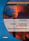 Ursachen und Auswirkungen des Klimawandels: Folgen für die europäische Wirtschaft