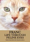 Franc Life Through Feline Eyes