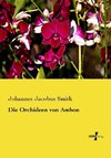 Die Orchideen von Ambon