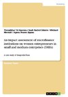 An impact assessment of microfinance institutions on women entrepreneurs in small and medium enterprises (SMEs)