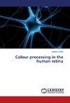 Colour processing in the human retina