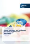 Novel methods and strategies towards erythronolide synthesis