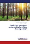 Predicting long-term patterns in plant litter decomposition