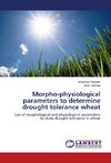 Morpho-physiological parameters to determine drought tolerance wheat