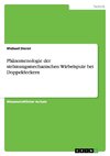 Phänomenologie der strömungsmechanischen Wirbelspule bei Doppeldeckern