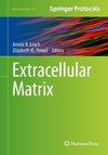 Extracellular Matrix