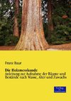 Die Holzmesskunde