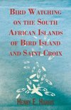 Bird Watching on the South African Islands of Bird Island and Saint Croix