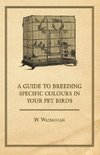 A Guide to Breeding Specific Colours in Your Pet Birds