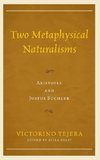 Two Metaphysical Naturalisms