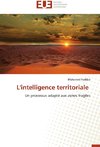 L'intelligence territoriale