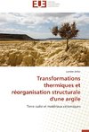 Transformations thermiques et réorganisation structurale d'une argile