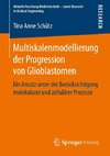 Multiskalenmodellierung der Progression von Glioblastomen