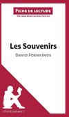 Analyse : Les Souvenirs de David Foenkinos  (analyse complète de l'oeuvre et résumé)