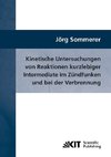 Kinetische Untersuchungen von Reaktionen kurzlebiger Intermediate im Zündfunken und bei der Verbrennung