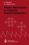 Phase Separation in Cuprate Superconductors