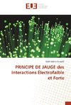 PRINCIPE DE JAUGE des Interactions Électrofaible et Forte