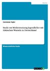 Studie zur Mediennutzung Jugendlicher mit türkischen Wurzeln in Deutschland