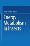 Energy Metabolism in Insects