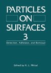 Particles on Surfaces 3