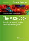 The Maze Book