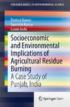 Socioeconomic and Environmental Implications of Agricultural Residue Burning