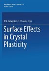 Surface Effects in Crystal Plasticity